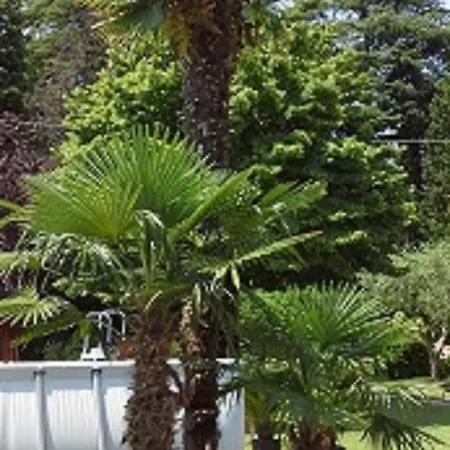 Relais Lezard